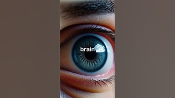 This 1-minute video explains how your vision works in your eyes 👀.