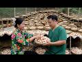 Kelvin and Han are happy to see the results of their days spent caring for their pets together.