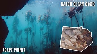 Cape Point Catch Clean Cook – Spearfishing South Africa | Butterfish, Janbruin & Hottentot Adventure screenshot 5