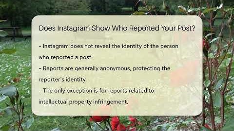 Does Instagram Show Who Reported Your Post? - Everyday-Networking