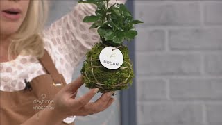 The Urban Botanist