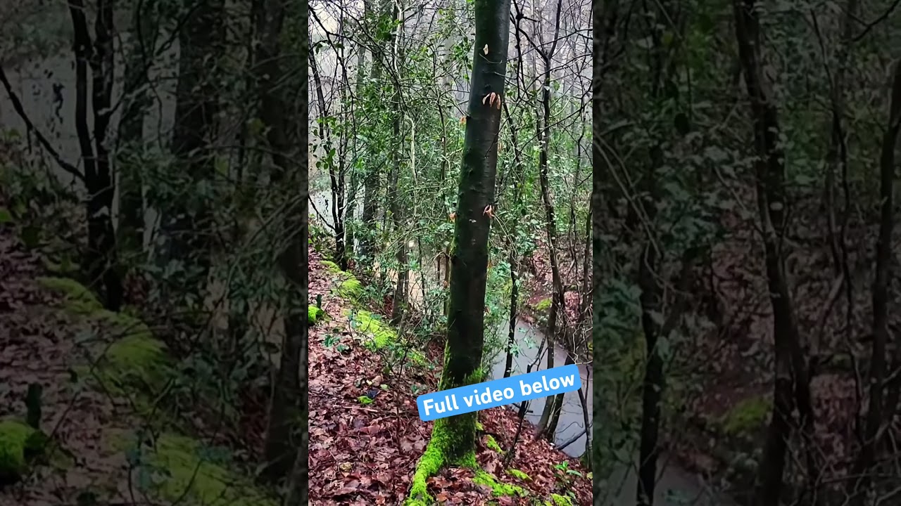 Гитара + Автомобиль 