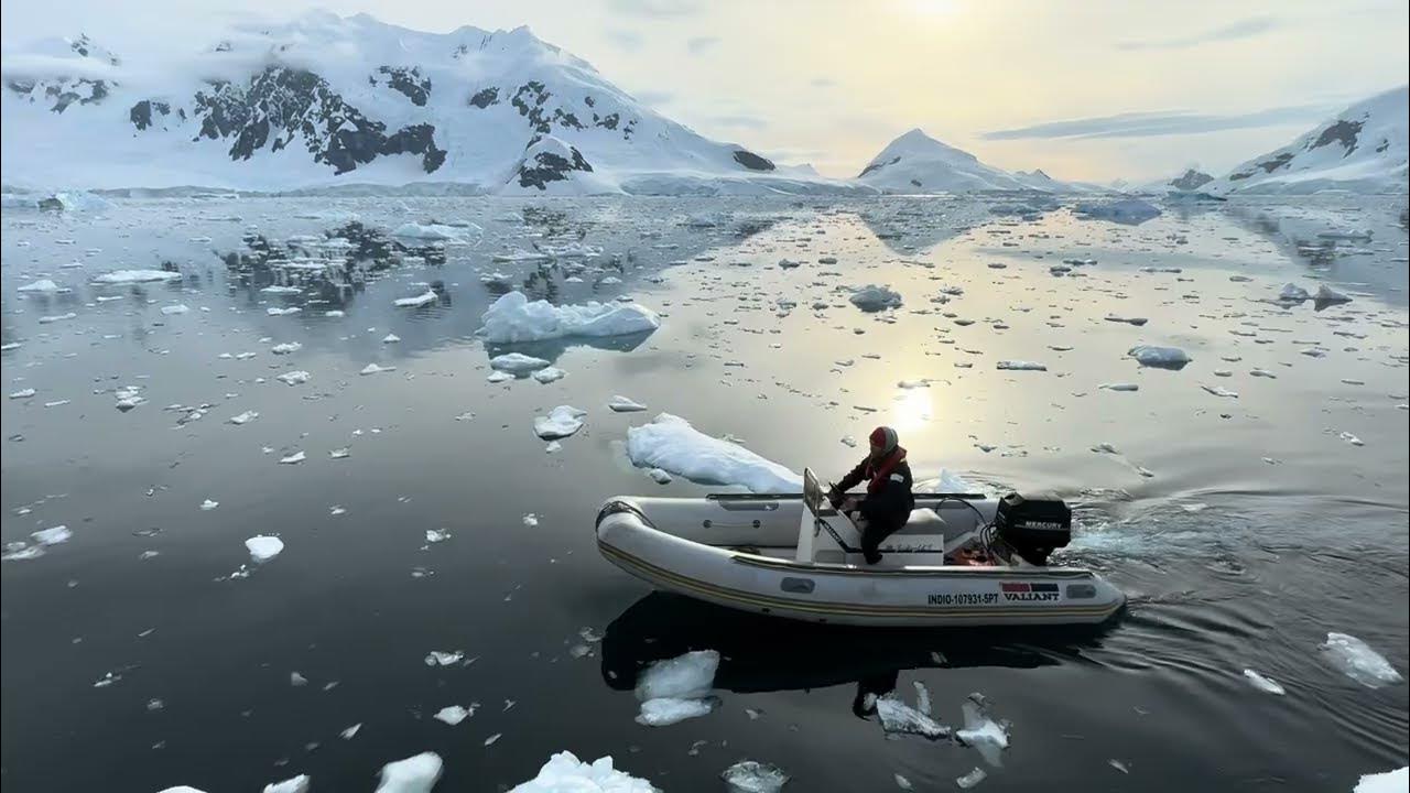 антарктида (материк). антарктида континент расположенный на самом юге земли. антарктида фото. кашалот в антарктиде. антарктида была частью.
