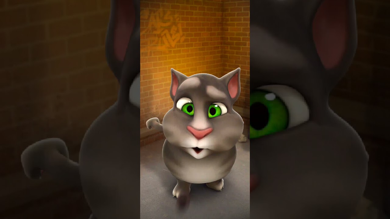 Talking Tom Cat New Video Best Funny Android GamePlay 