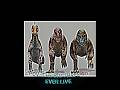 The Big Three Edit!💀 #viral #trex #spinosaurus #giganatosaurus #prehistoric