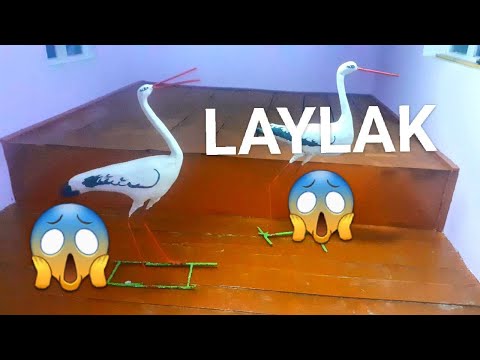 ЛИЛИ ЖИЗНЬ, LAYLAK YASASH, LILY LIVING