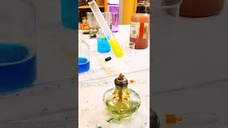 Fehlings Solution Test.