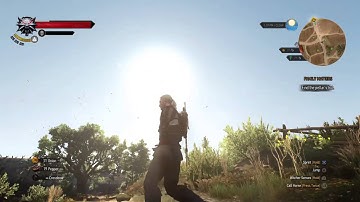 Updated witcher money glitch shows where the bee hive is and the glitch