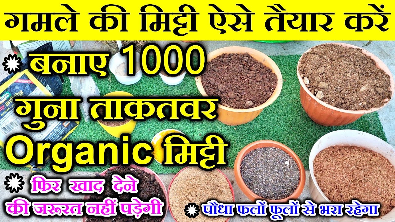 गमले की मिट्टी कैसे तैयार करेंHow to make potting soil at Home in