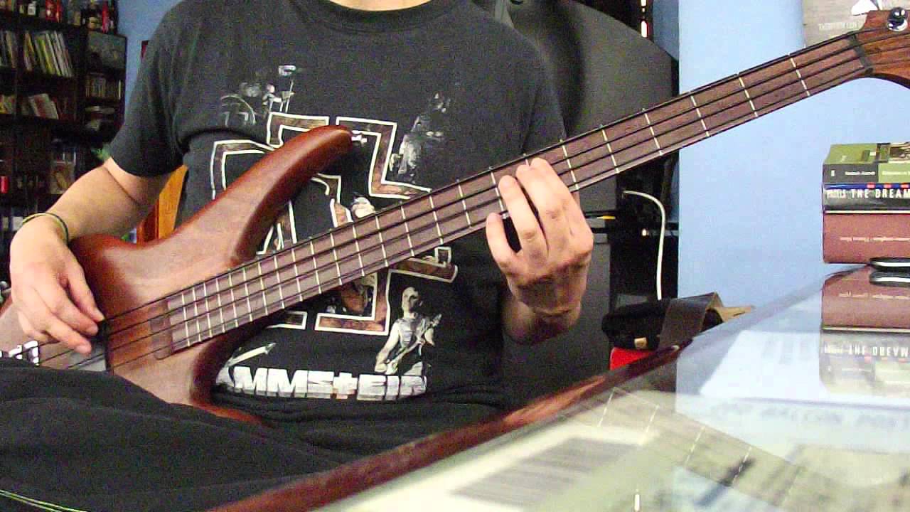 (Bush) The Sound Of Winter bass cover YouTube