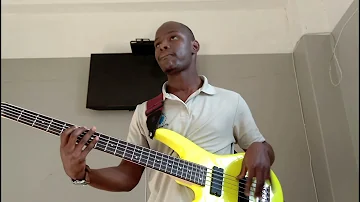 Sankomota - Now or never (Bass Cover)