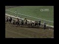 1993 breeders cup classic arcangues 1331