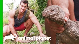 Water Monitor Lizard Needs a Dental Checkup | Evan Goes Wild: Passion and Purpose