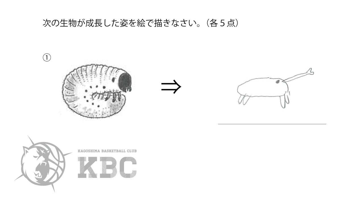 問題配布中 めちゃイケでakbがやってた風のテストをkbcメンバーにやらせてみた 爆笑珍解答編 Youtube