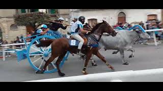 San Martino in Pensilis: Vincitore della Corsa dei carri 2024