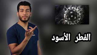 فيروس كورونا والفطر الاسود |الحقيقة كامله د/احمد هيكل