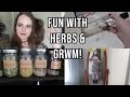 Restocking my herbs  making herbal bath oil  get ready with me to go out  daily vlog