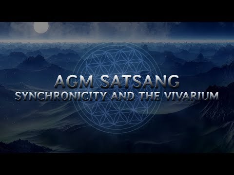 Synchronicity and the Vivarium - AGM Satsang #2 - Gnostic ideas, organic portals, and the multiverse