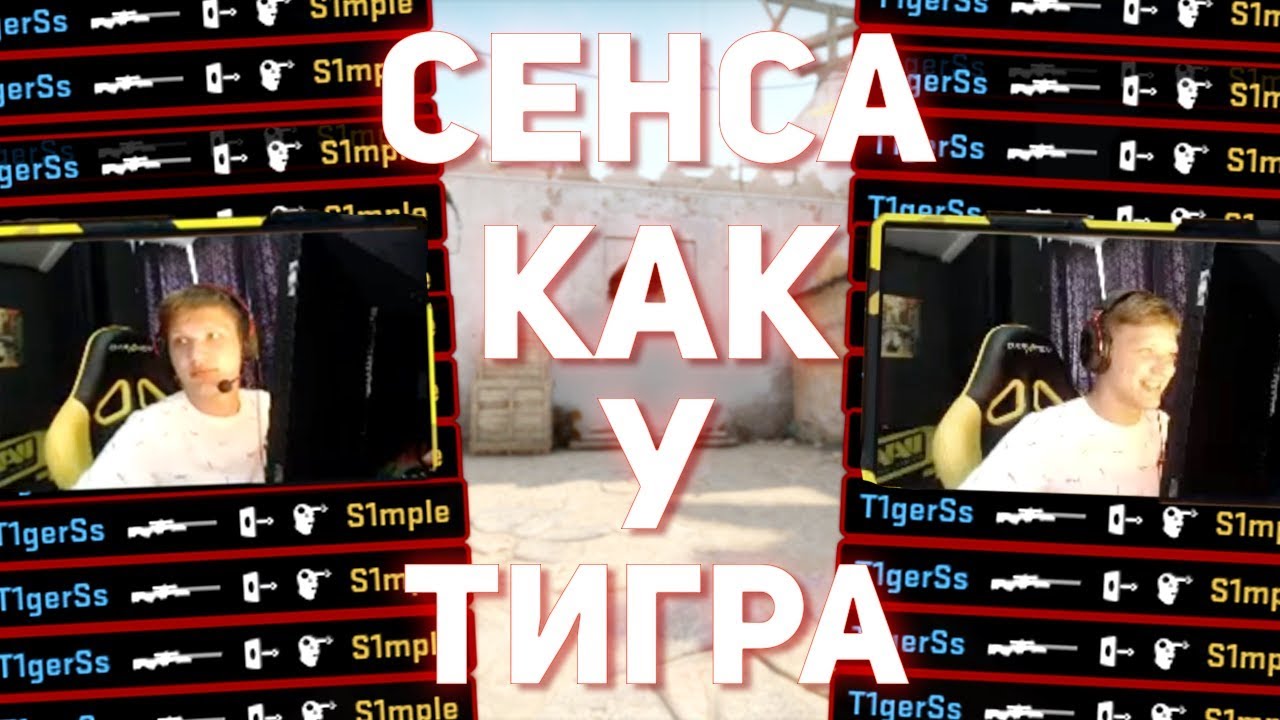 Сенса про игроков КС го. Сенса СИМПЛА. Тигра СИМПЛА. Про игроки CS go с высокой СЕНСОЙ. Одна сенса в играх