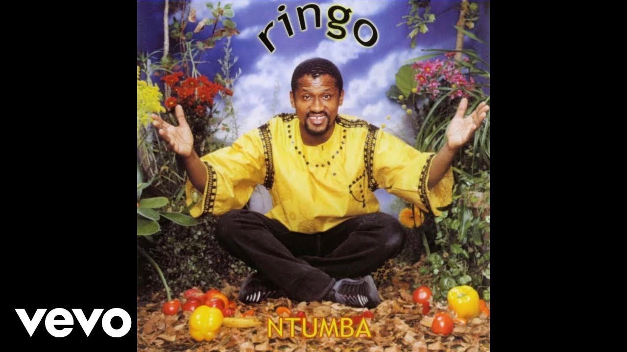 Ringo Madlingozi - Ndiyagodola (Official Audio)
