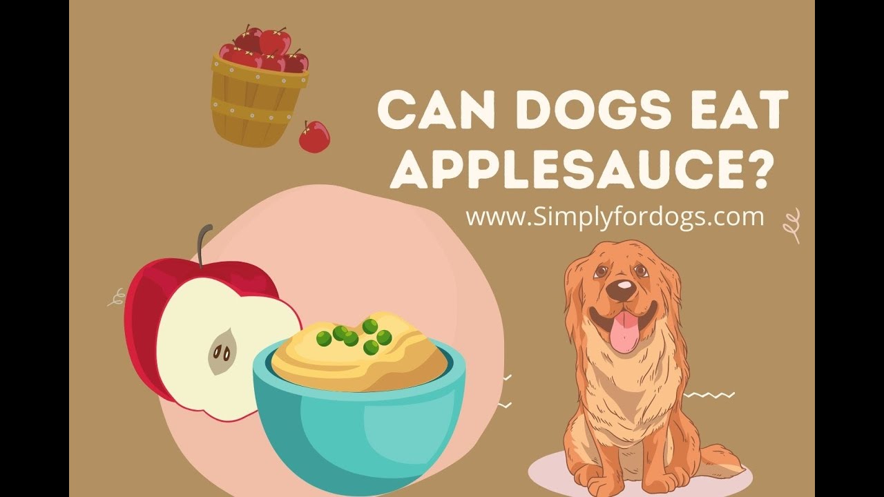 Can Applesauce Make A Dog Sick?