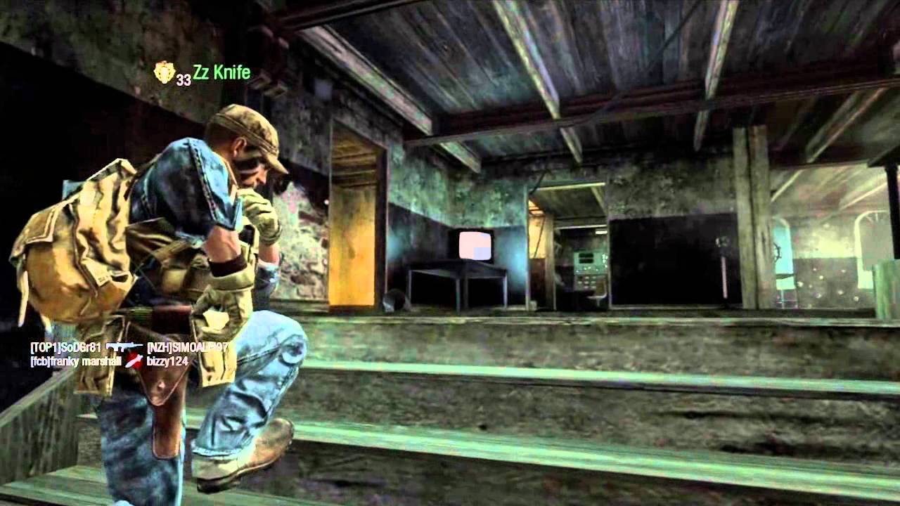 Black Ops Nice Level Up | Hauppauge Quality Test