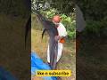 😱😱50Kg biggest fish eating challenge || #food #fish #eatingchallenge