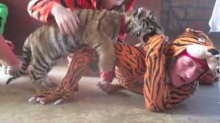 Tiger Temple Volunteering -  August 2014