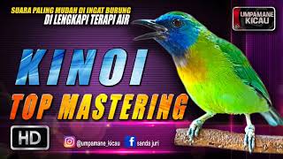 kinoi || TOP MASTERING MURAI BATU