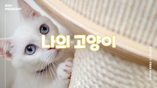 [고냥이처럼 귀여운음악] 나의 고양이 | 아구아구 이뽀라 🐈