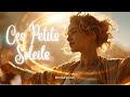 Ces Petits Soleils Chanson Française Pop Folk Solaire Émotionnelle mp3