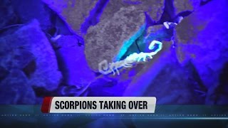 Scorpions taking over Las Vegas