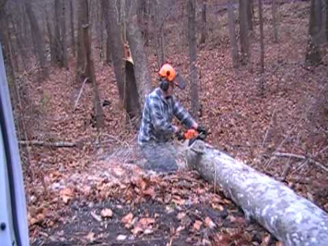 stihl ms270 bucking firewood - YouTube