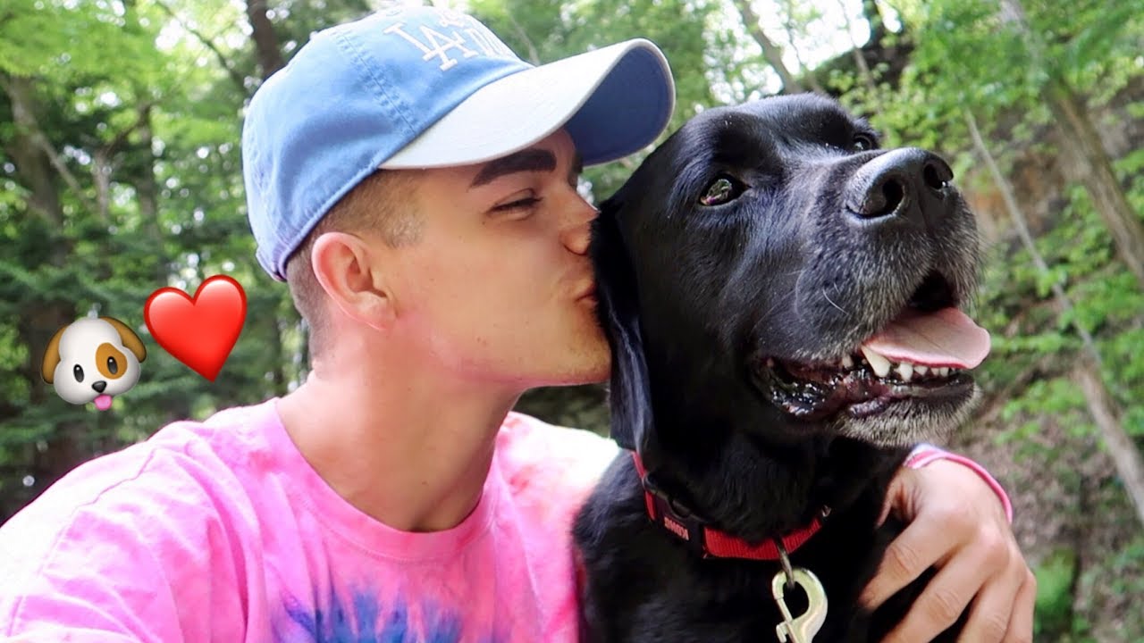 VLOG DAY - A MAN'S BEST FRIEND.
