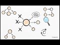 The Markov Architecture of Human Thought