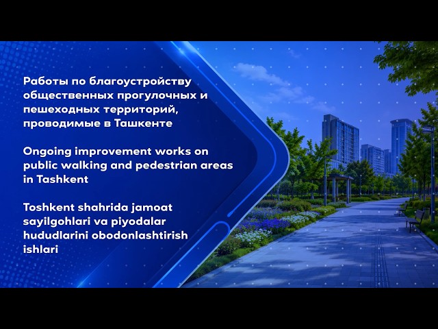 Olmazor tumanidagi Zarqaynar ko‘chasi, milliy ruh va zamonaviy muhit uyg‘unlashgan maskaniga aylandi