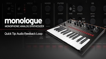 Korg Monologue Quick Tip: Audio Feedback Loop