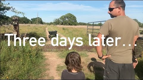 The MIGHTY MULE AUTOMATIC GATE is FINALLY finished!! // HOW MUCH DID IT COST // Front Gate Part 3