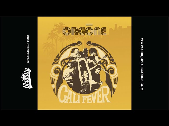 Orgone - The Only One