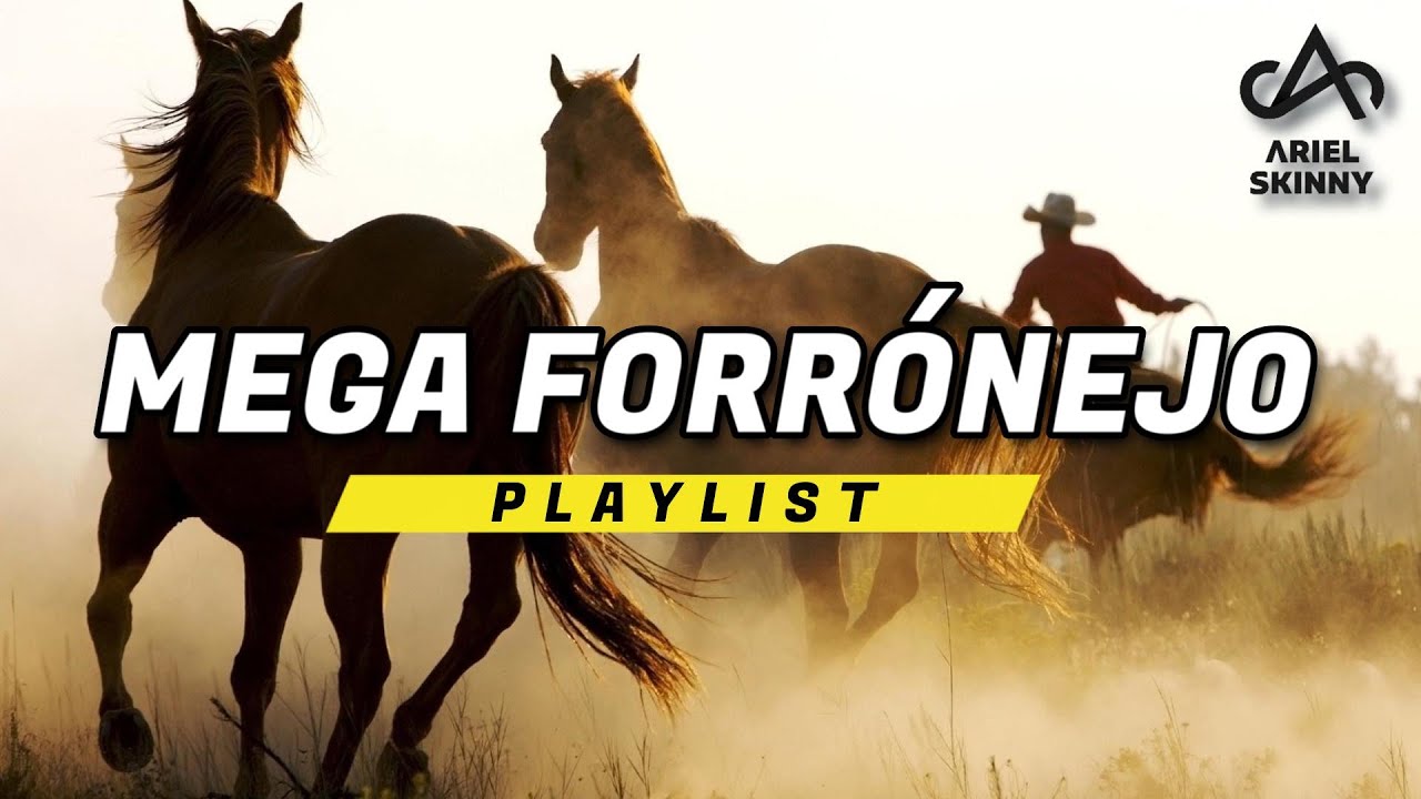 MEGA FORRÓNEJO - PLAYLIST [Prod. Ariel Skinny]