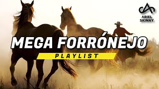 Mega Forrnejo  Playlist prod Ariel Skinny