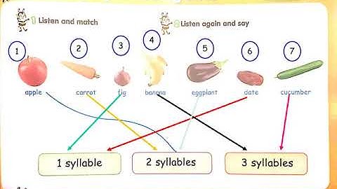 Primary 1 - English O.L - Unit 15