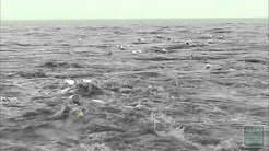 Watch how much trash flows into the bay