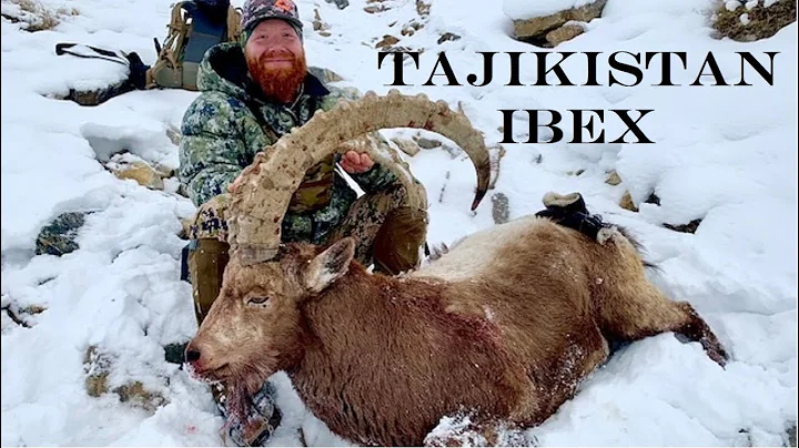 A Bucket List Hunt - Tajikistan Ibex with ANCOT