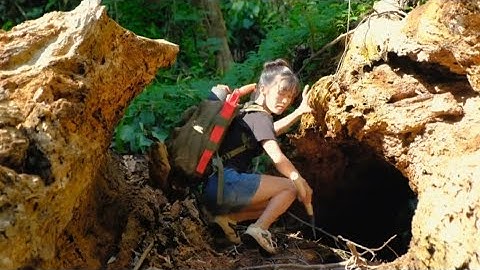 Cô gái một mình xây dựng nơi trú ẩn bằng tre để sinh tồn trong rừng nhiệt đới