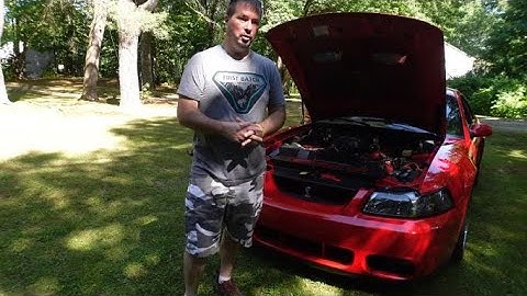 04 Terminator Cobra Full Mod List As of 2022