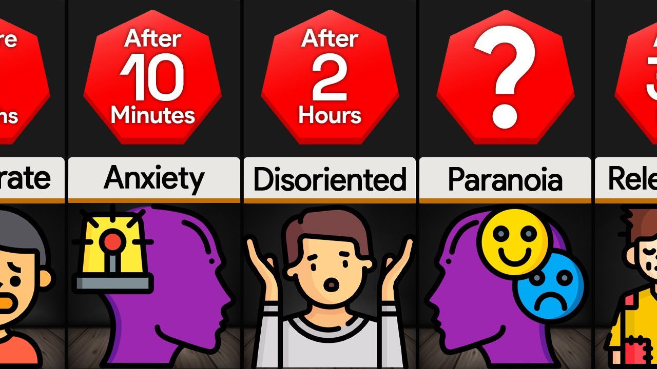Timeline What If You Were Trapped In Darkness YouTube Timeline What If You Were Trapped In Darkness YouTube
