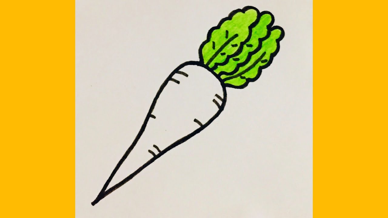 How to draw a radishRadish drawing Art Drawing YouTube