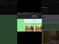 The Portfolio......😍😍 #music #coding #viral #ytshorts #yutubeshorts