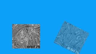 70B54DEAFAF881D442DA2CF96BD08C#1
